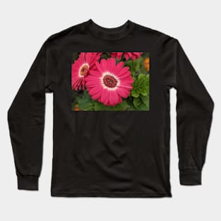 Pink Daisy Photographic Image Long Sleeve T-Shirt